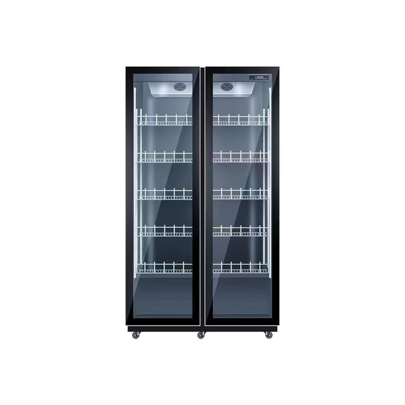 Dupla porta de refrigeração de - Wine Beer Dual Zone avaliação e preço
